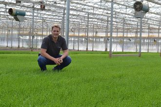 Our British Samphire Growers: Westlands Wow