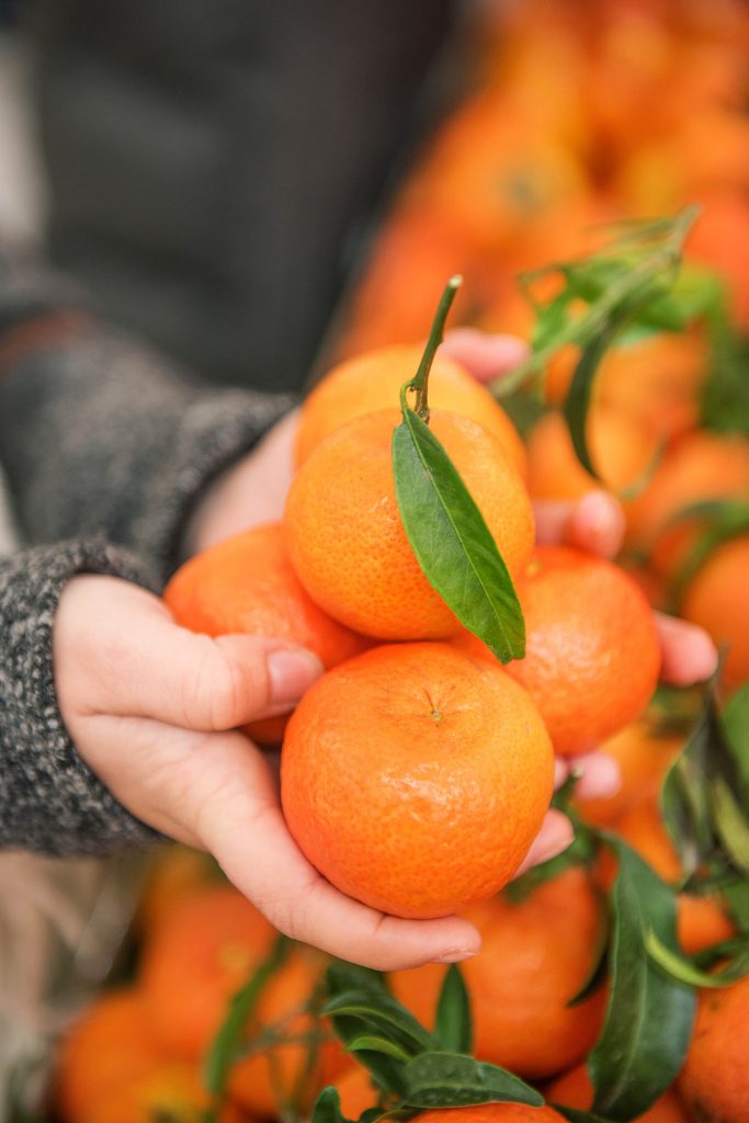 Frisch vom Markt: Mandarinen