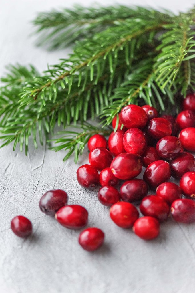 Weihnachtsduft selber machen: Tanne und Cranberries close up